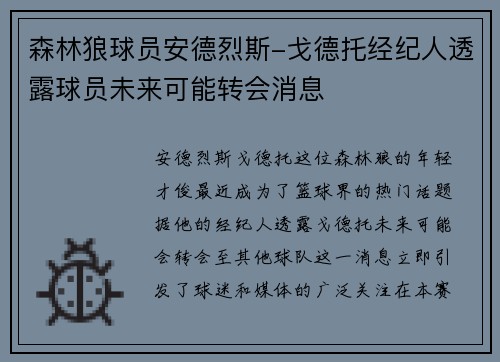 森林狼球员安德烈斯-戈德托经纪人透露球员未来可能转会消息